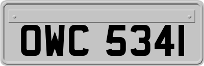 OWC5341
