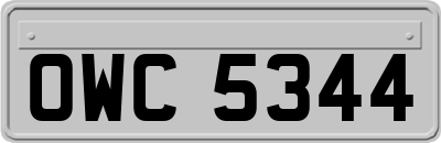 OWC5344