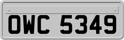 OWC5349