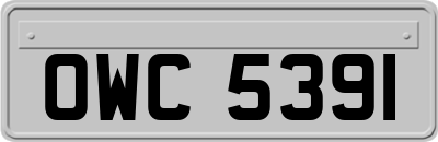 OWC5391