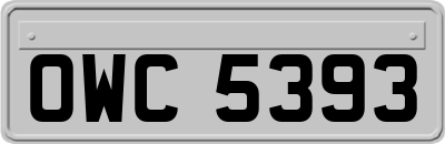 OWC5393