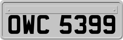 OWC5399