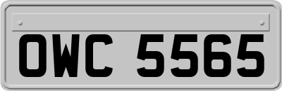 OWC5565