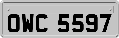 OWC5597