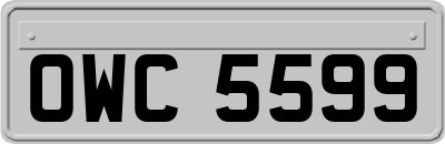 OWC5599