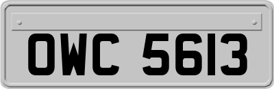 OWC5613
