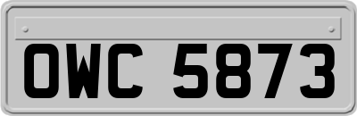 OWC5873