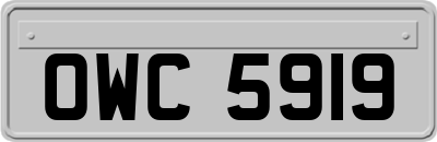 OWC5919
