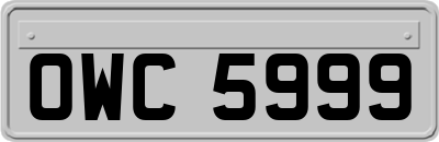 OWC5999