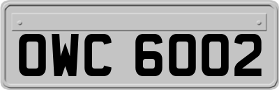 OWC6002