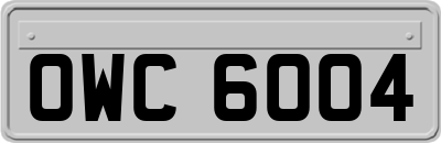 OWC6004