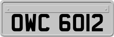 OWC6012