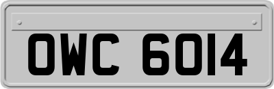 OWC6014
