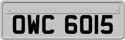 OWC6015