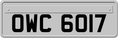 OWC6017