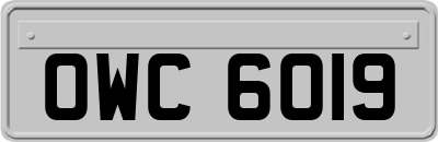OWC6019
