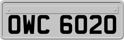 OWC6020