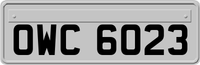 OWC6023