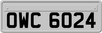 OWC6024