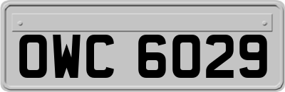 OWC6029