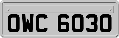 OWC6030