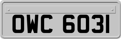 OWC6031