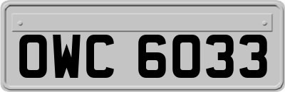 OWC6033