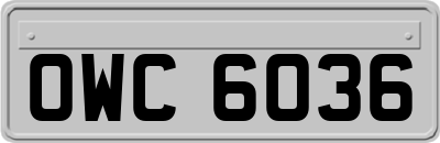OWC6036