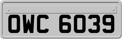 OWC6039