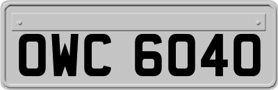 OWC6040
