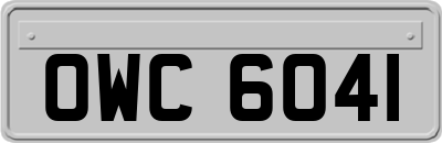 OWC6041