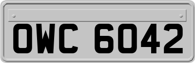 OWC6042