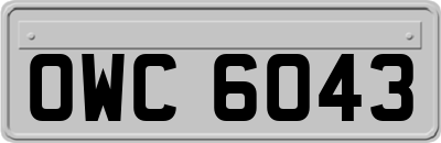OWC6043