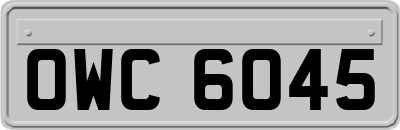 OWC6045