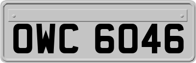 OWC6046