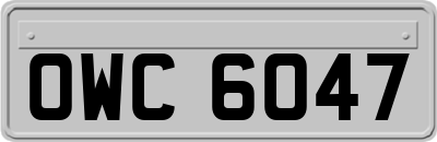 OWC6047