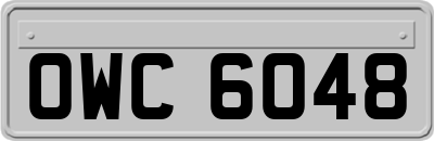OWC6048
