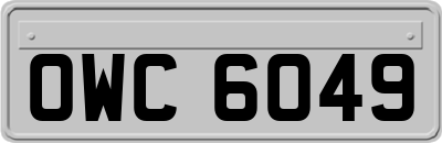 OWC6049