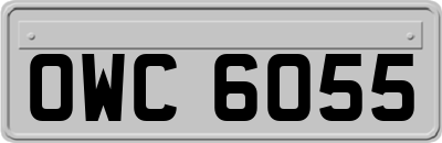 OWC6055