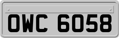 OWC6058