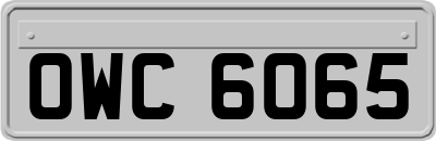 OWC6065