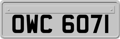 OWC6071