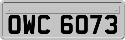 OWC6073