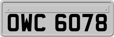 OWC6078