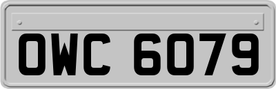 OWC6079