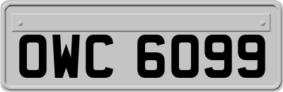 OWC6099