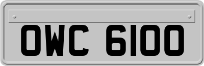OWC6100