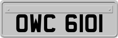OWC6101