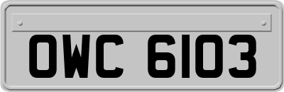 OWC6103