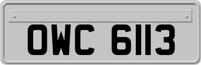 OWC6113